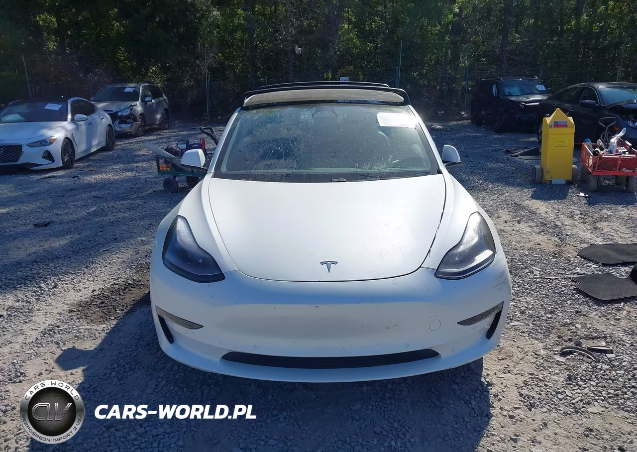 2021 Tesla Model 3 Long Range Dual Motor All-Wheel Drive VIN:5YJ3E1EB5MF924844 - 11