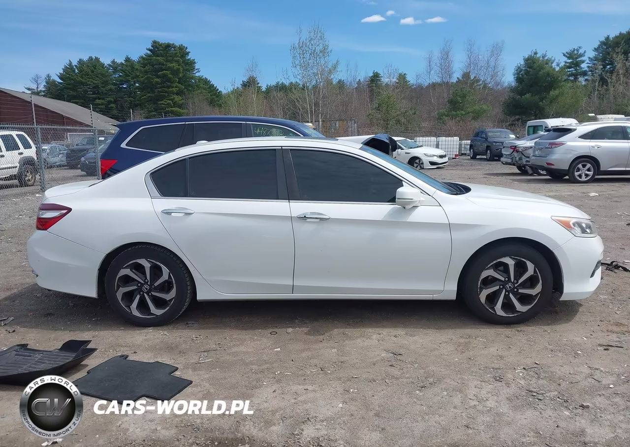 2016 Honda Accord Ex-L VIN:1HGCR2F97GA244951 - 13