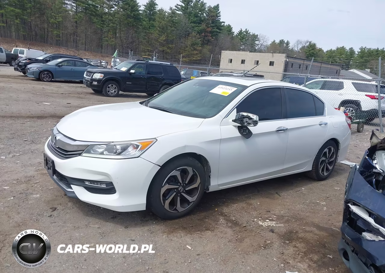 2016 Honda Accord Ex-L VIN:1HGCR2F97GA244951 - 14