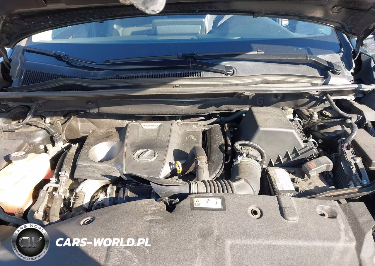 2020 Lexus Nx 300 VIN:JTJDARDZ6L5012220 - 10
