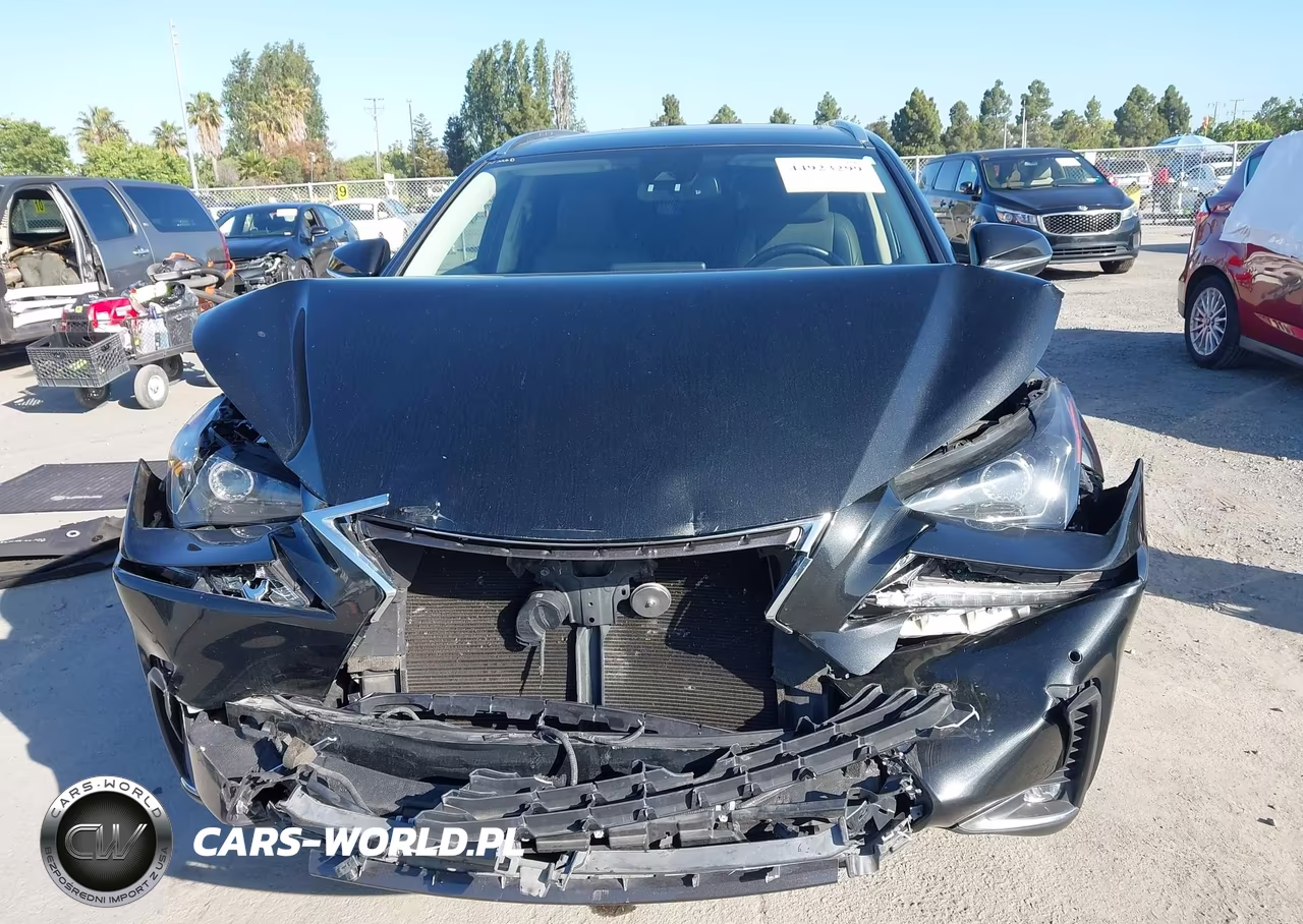 2020 Lexus Nx 300 VIN:JTJDARDZ6L5012220 - 12