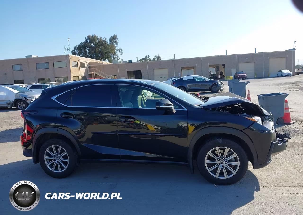 2020 Lexus Nx 300 VIN:JTJDARDZ6L5012220 - 13