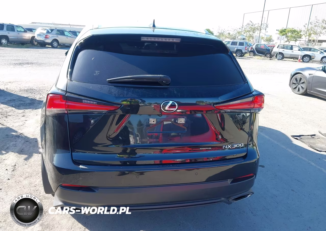 2020 Lexus Nx 300 VIN:JTJDARDZ6L5012220 - 16
