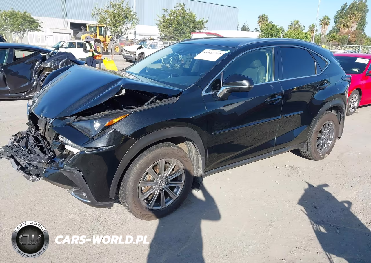 2020 Lexus Nx 300 VIN:JTJDARDZ6L5012220 - 2