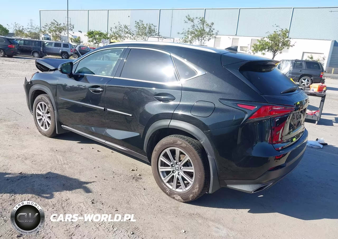 2020 Lexus Nx 300 VIN:JTJDARDZ6L5012220 - 3