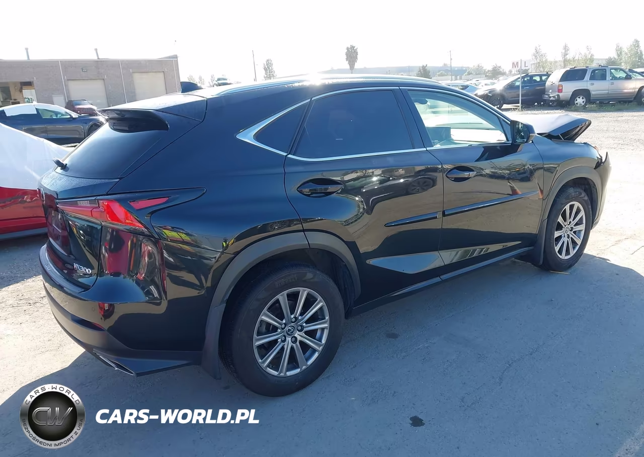 2020 Lexus Nx 300 VIN:JTJDARDZ6L5012220 - 4