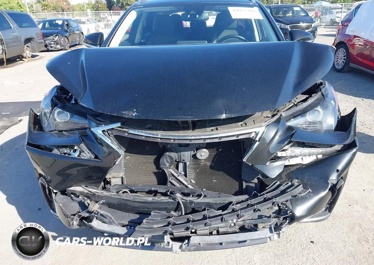 2020 Lexus Nx 300 VIN:JTJDARDZ6L5012220 - 6