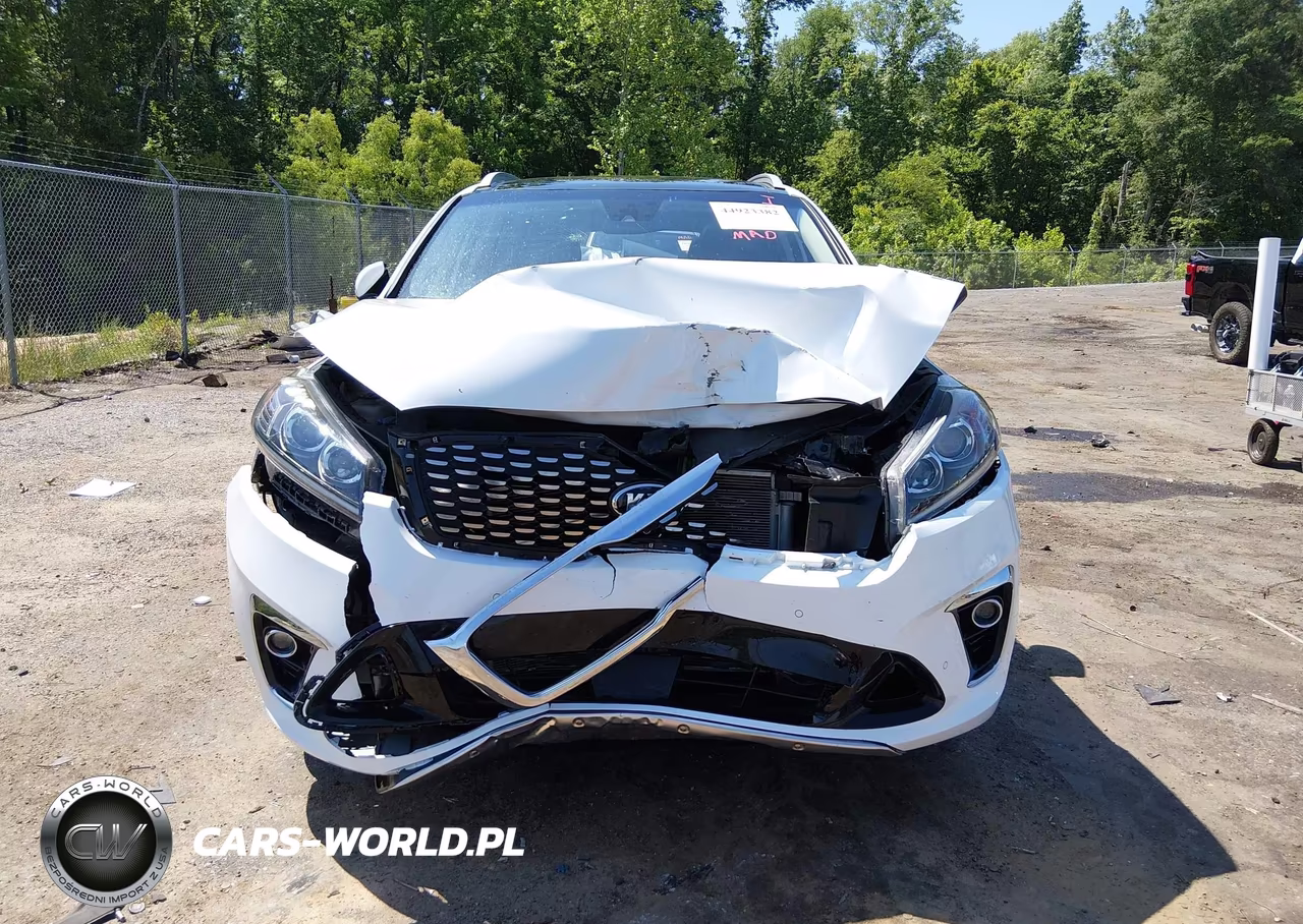 2020 Kia Sorento 3.3L Sx VIN:5XYPK4A55LG687338 - 12