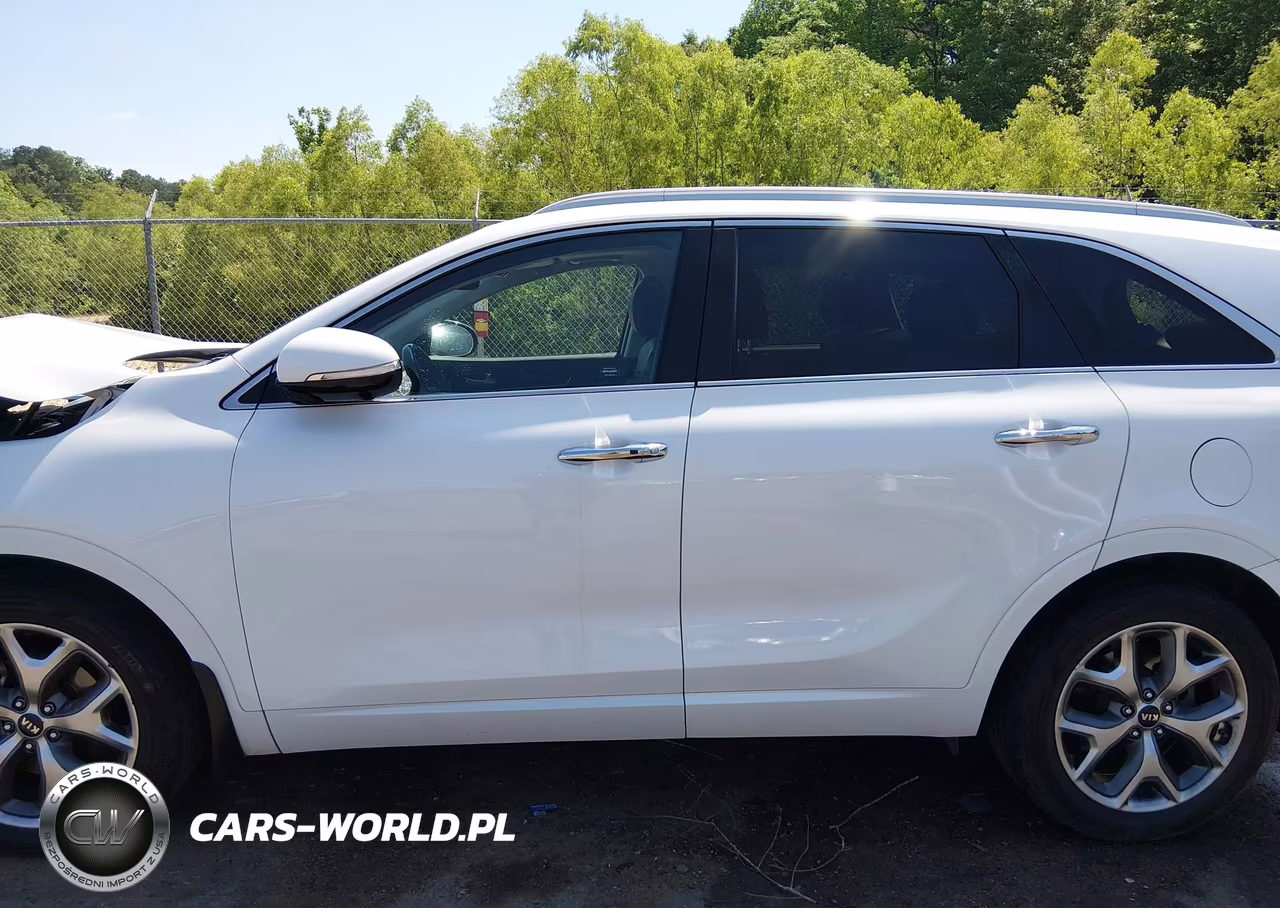2020 Kia Sorento 3.3L Sx VIN:5XYPK4A55LG687338 - 14