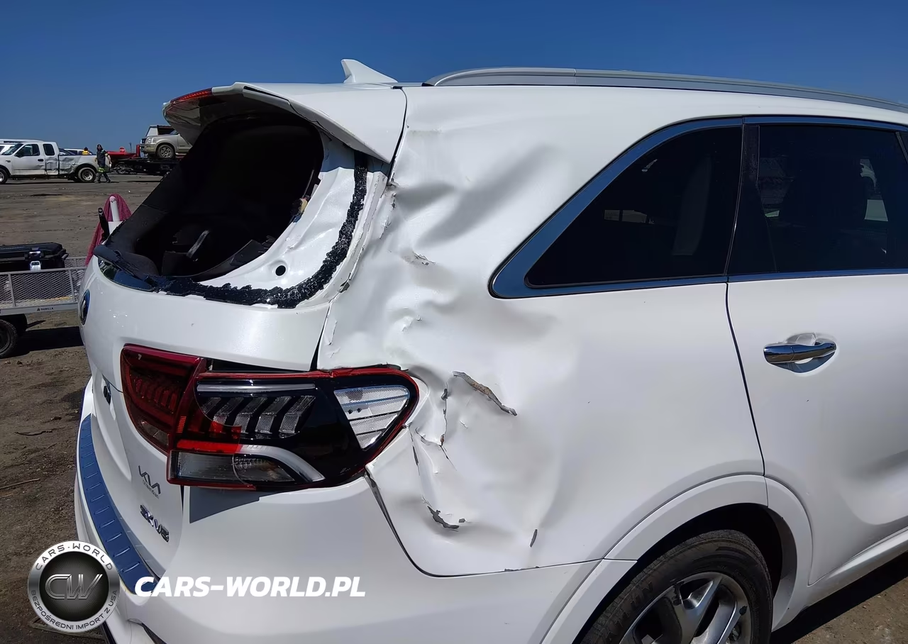 2020 Kia Sorento 3.3L Sx VIN:5XYPK4A55LG687338 - 18