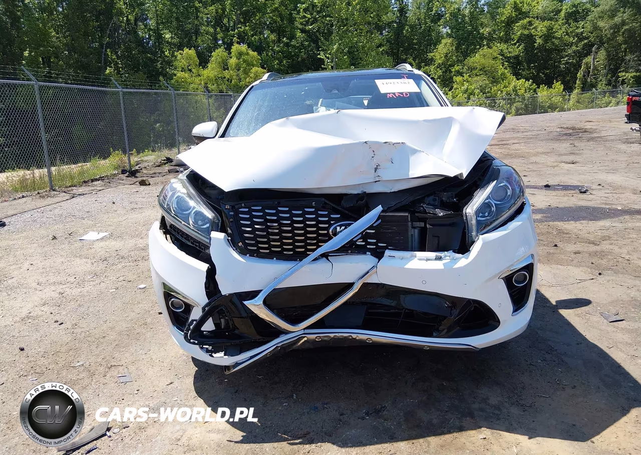 2020 Kia Sorento 3.3L Sx VIN:5XYPK4A55LG687338 - 6