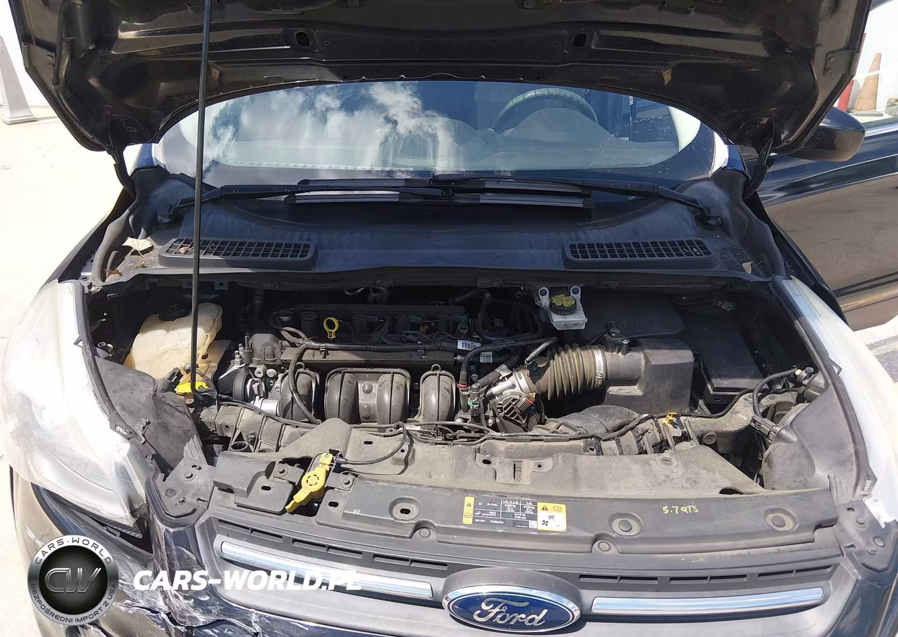 2016 Ford Escape Se VIN:1FMCU0G77GUA91979 - 10