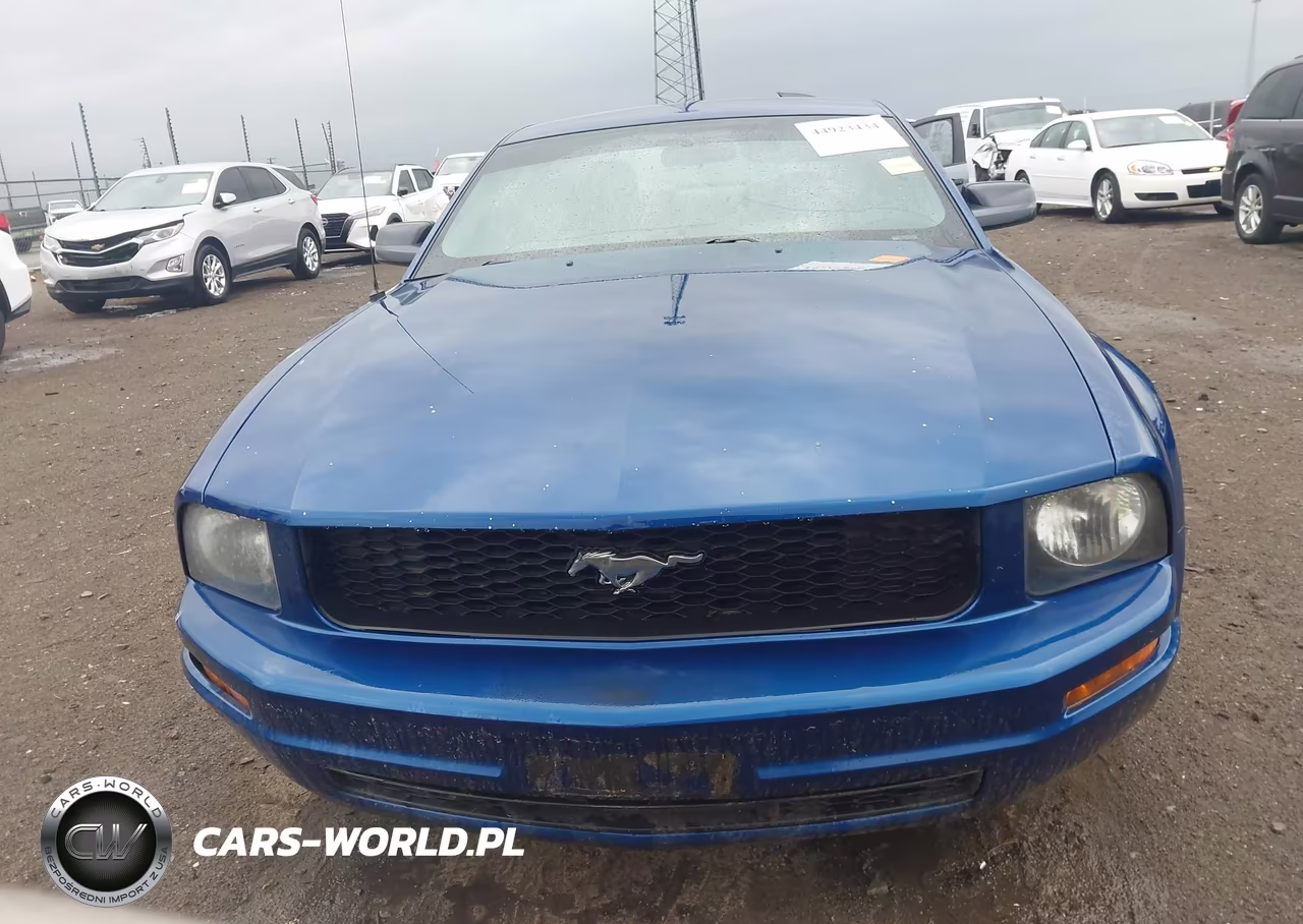 2009 Ford Mustang V6-V6 Premium VIN:1ZVHT80N595138893 - 12