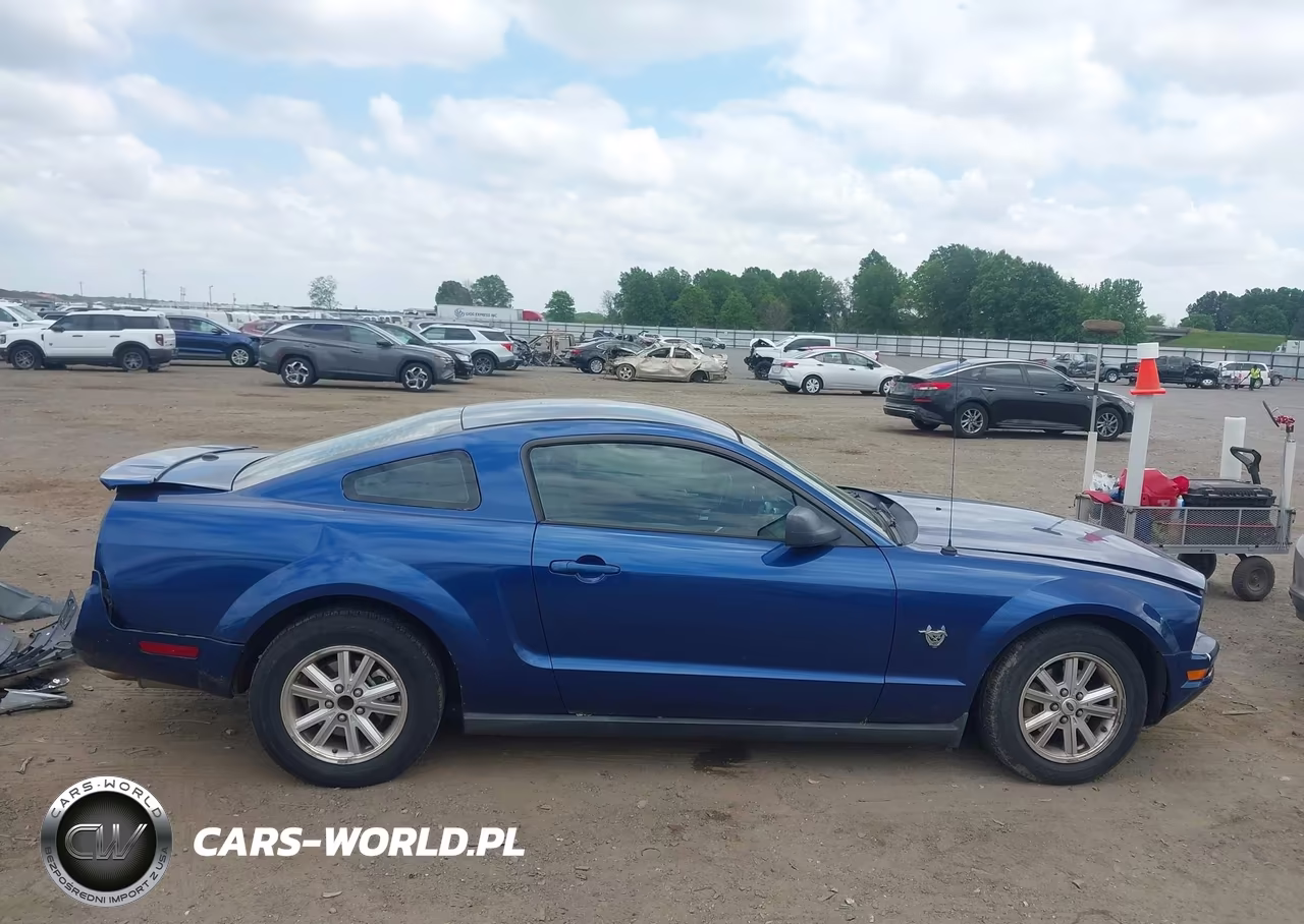 2009 Ford Mustang V6-V6 Premium VIN:1ZVHT80N595138893 - 13