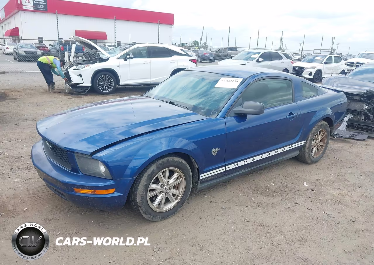 2009 Ford Mustang V6-V6 Premium VIN:1ZVHT80N595138893 - 2