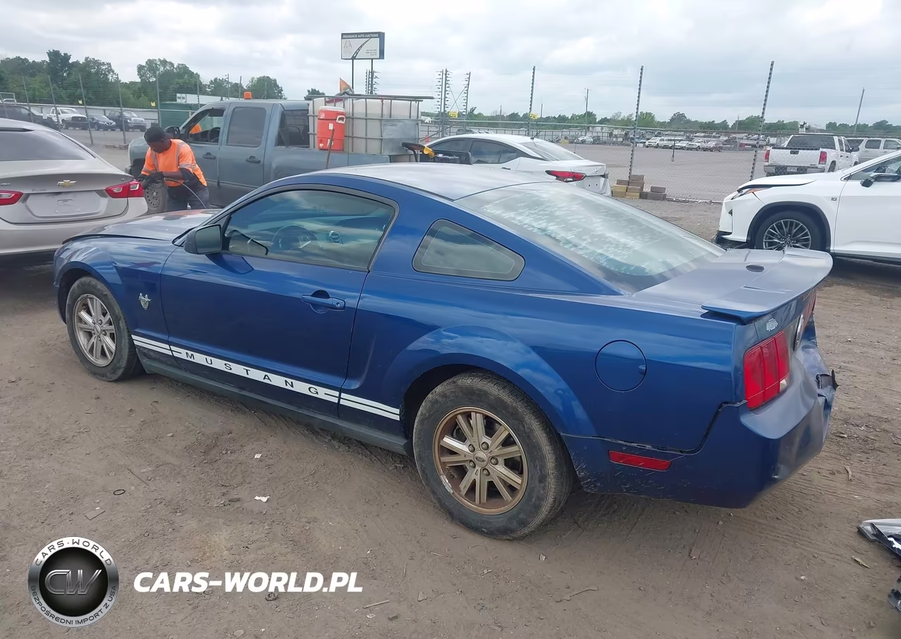 2009 Ford Mustang V6-V6 Premium VIN:1ZVHT80N595138893 - 3