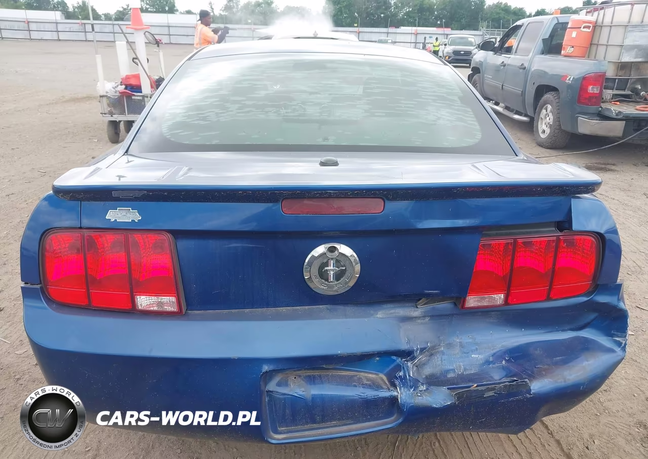 2009 Ford Mustang V6-V6 Premium VIN:1ZVHT80N595138893 - 6