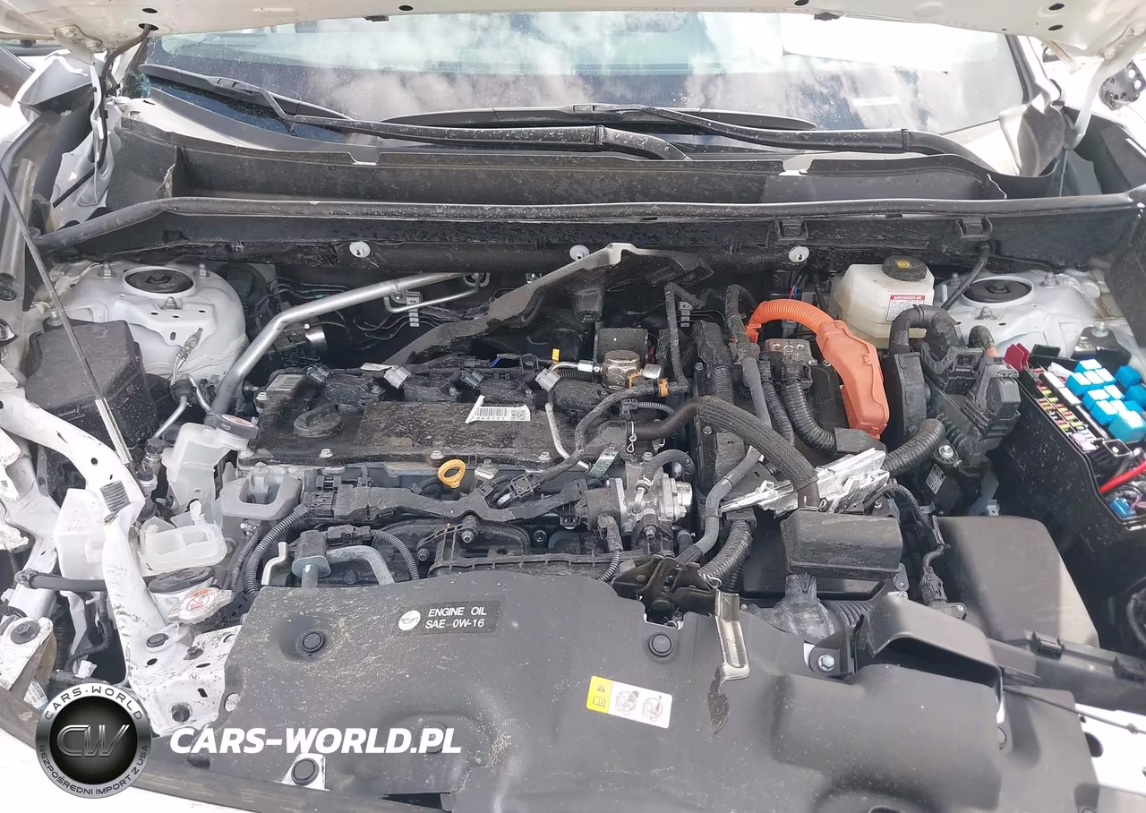 2024 Toyota Rav4 Hybrid Xle VIN:2T3RWRFV9RW214538 - 10
