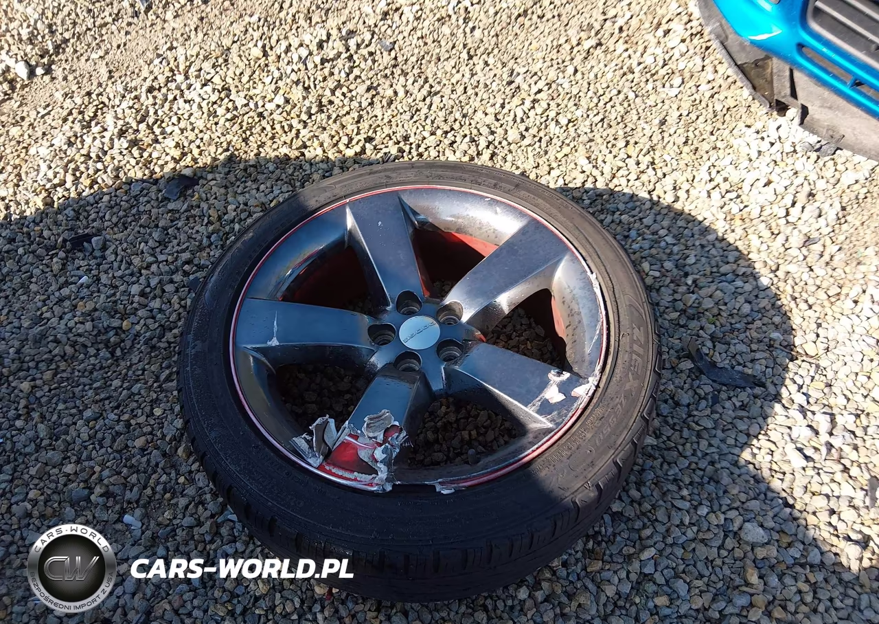 2013 Dodge Challenger Rallye Redline VIN:2C3CDYAG9DH520098 - 12