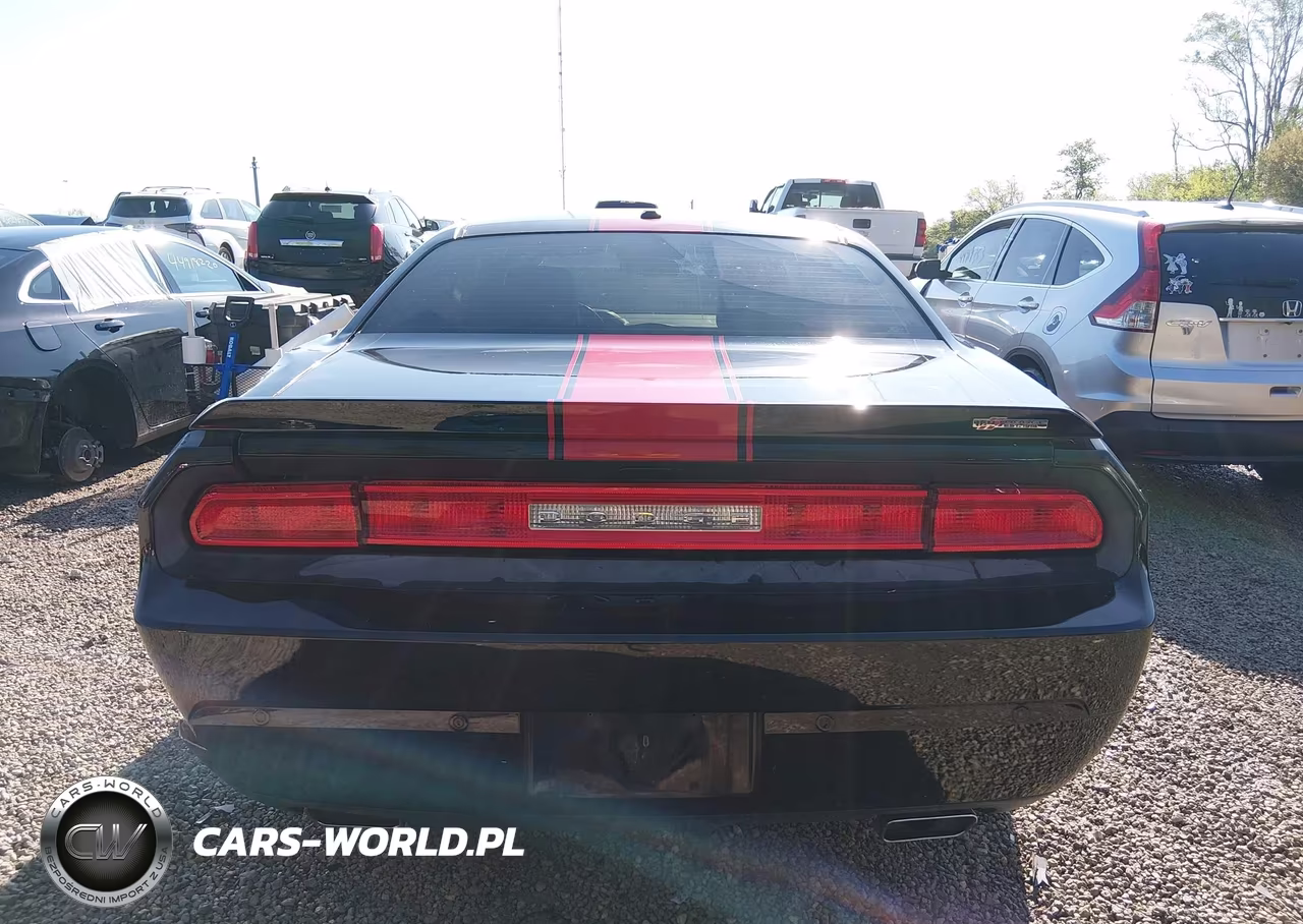 2013 Dodge Challenger Rallye Redline VIN:2C3CDYAG9DH520098 - 17