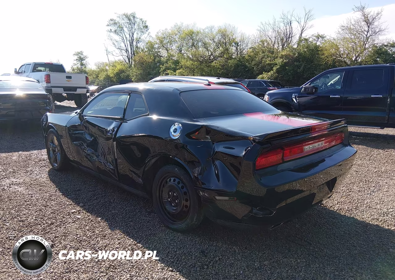 2013 Dodge Challenger Rallye Redline VIN:2C3CDYAG9DH520098 - 3