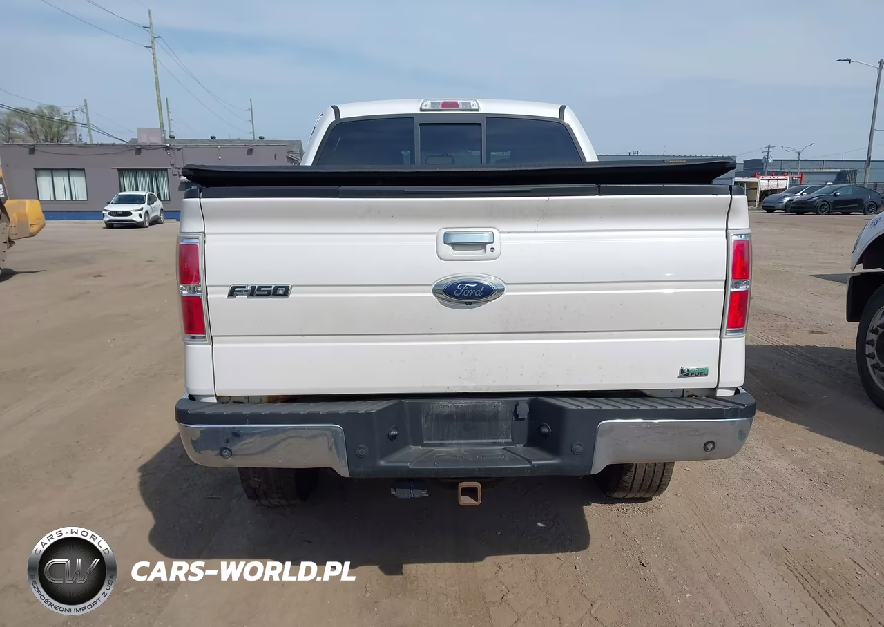 2010 Ford F-150 Fx4-Harley-Davidson-King Ranch-Lariat-Platinum-Xl-Xlt VIN:1FTFW1EV3AFD47016 - 16