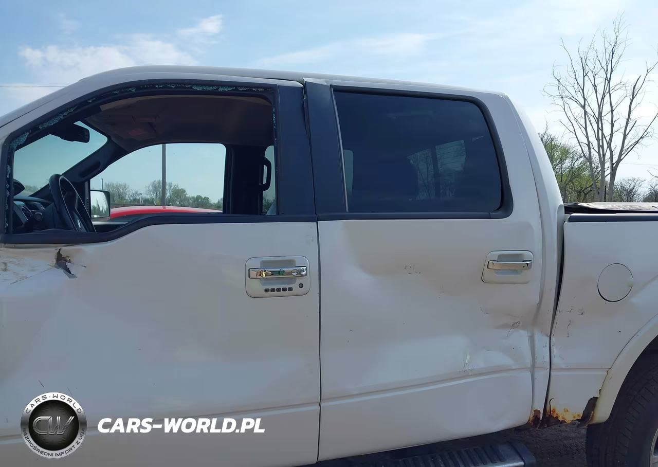 2010 Ford F-150 Fx4-Harley-Davidson-King Ranch-Lariat-Platinum-Xl-Xlt VIN:1FTFW1EV3AFD47016 - 17