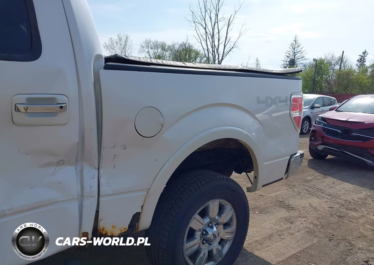 2010 Ford F-150 Fx4-Harley-Davidson-King Ranch-Lariat-Platinum-Xl-Xlt VIN:1FTFW1EV3AFD47016 - 18