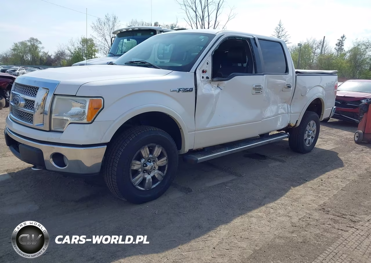2010 Ford F-150 Fx4-Harley-Davidson-King Ranch-Lariat-Platinum-Xl-Xlt VIN:1FTFW1EV3AFD47016 - 2