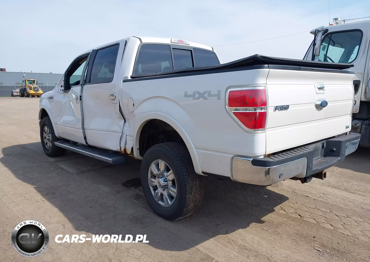 2010 Ford F-150 Fx4-Harley-Davidson-King Ranch-Lariat-Platinum-Xl-Xlt VIN:1FTFW1EV3AFD47016 - 3