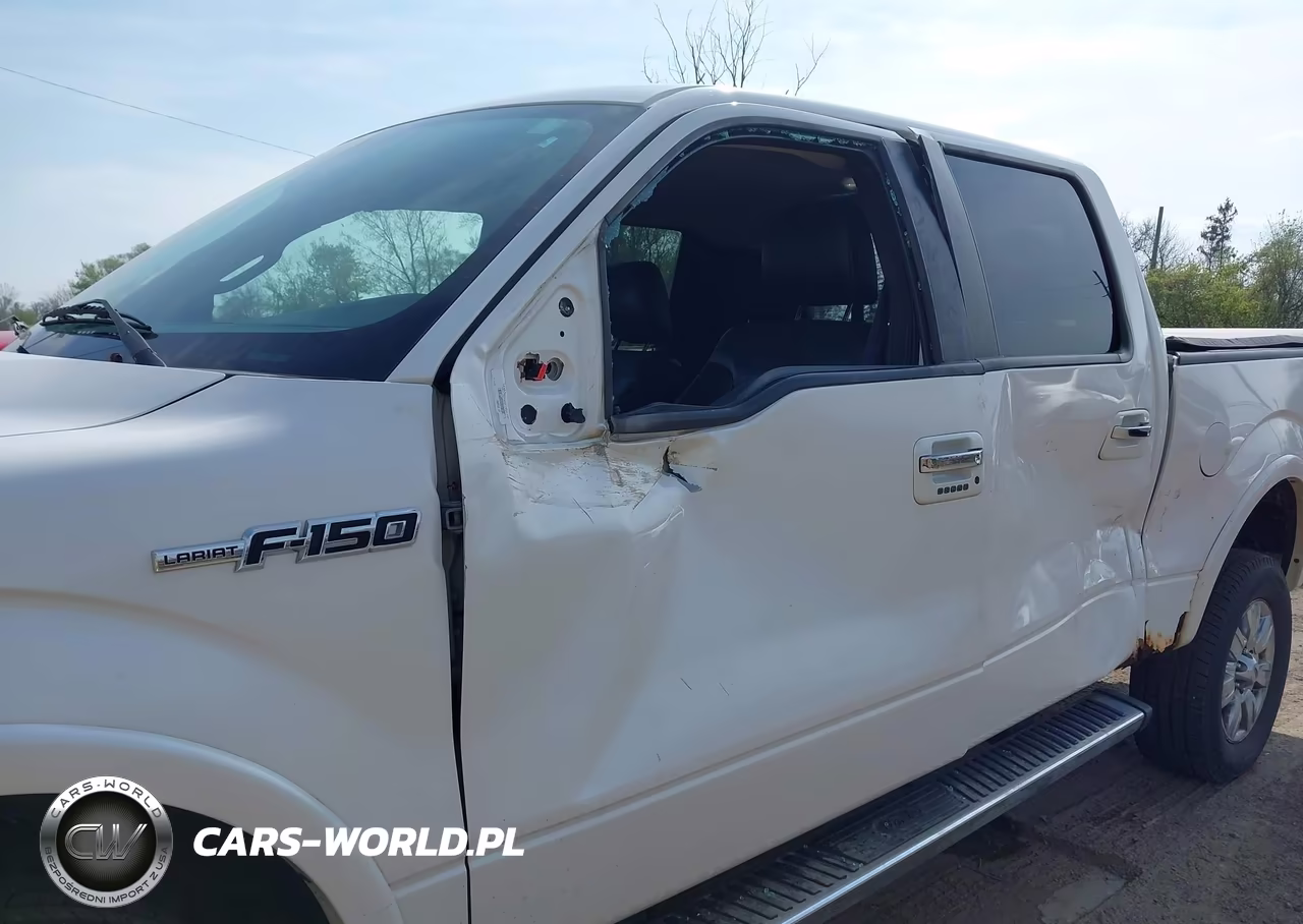 2010 Ford F-150 Fx4-Harley-Davidson-King Ranch-Lariat-Platinum-Xl-Xlt VIN:1FTFW1EV3AFD47016 - 6
