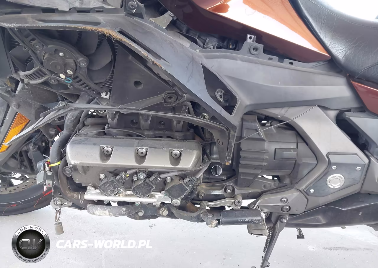 2018 Honda Gl1800 B VIN:JH2SC7913JK000463 - 9