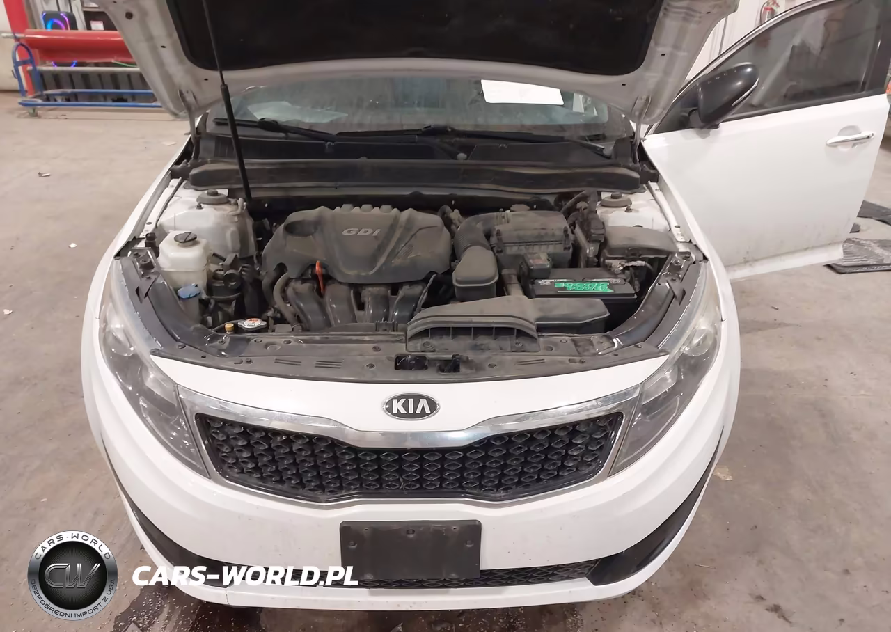 2013 Kia Optima Ex VIN:5XXGN4A7XDG227509 - 10