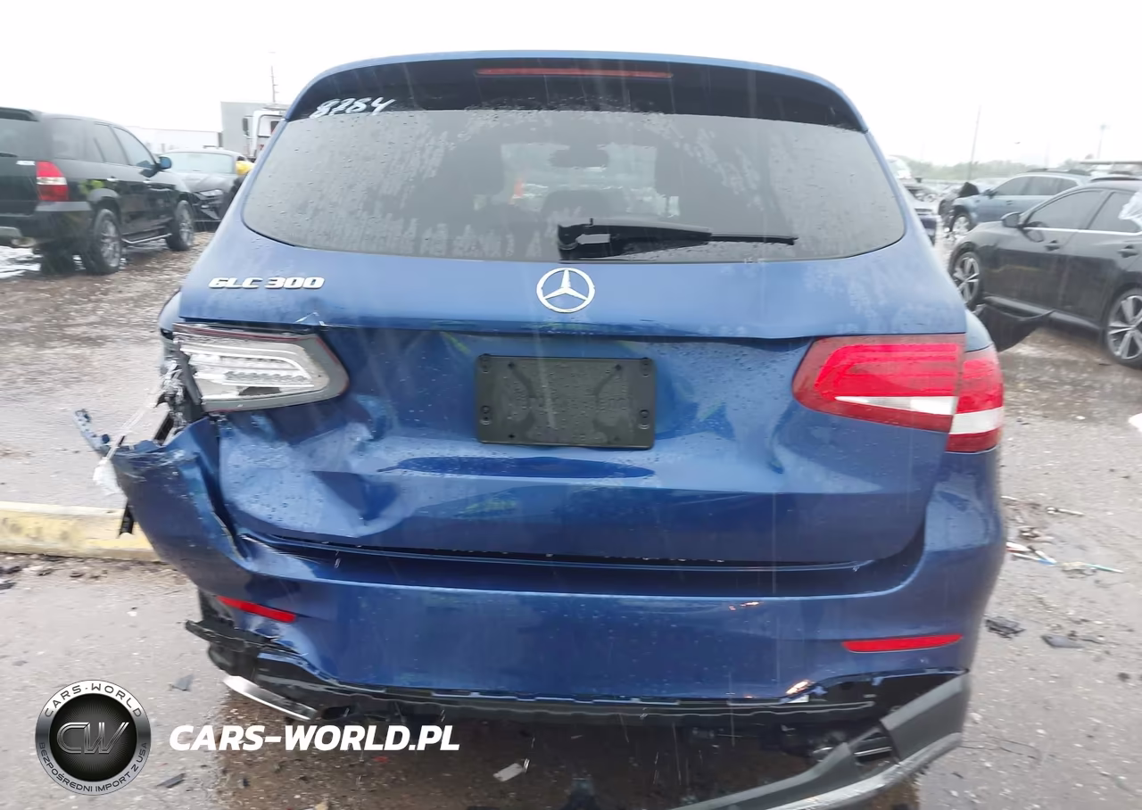 2017 Mercedes-Benz Glc 300 VIN:WDC0G4JB4HF118784 - 16