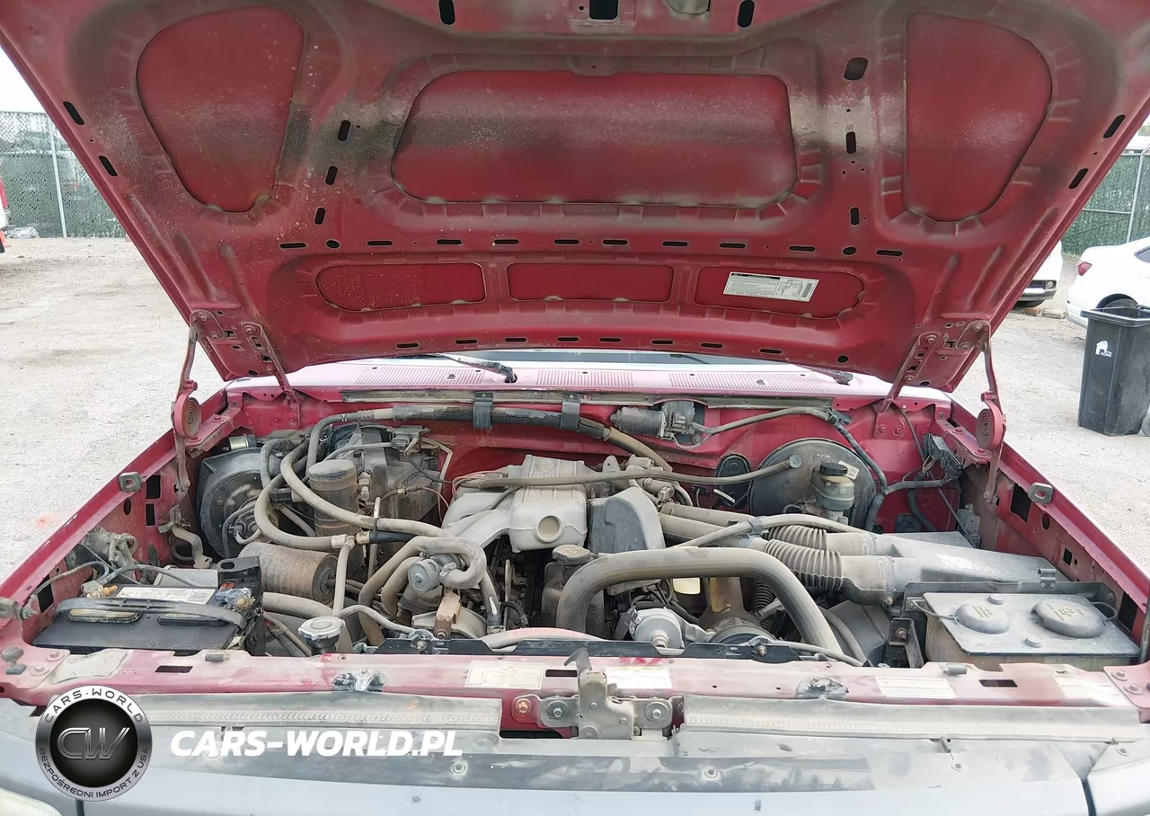 1994 Ford F150 VIN:1FTEF15Y5RNA06689 - 10