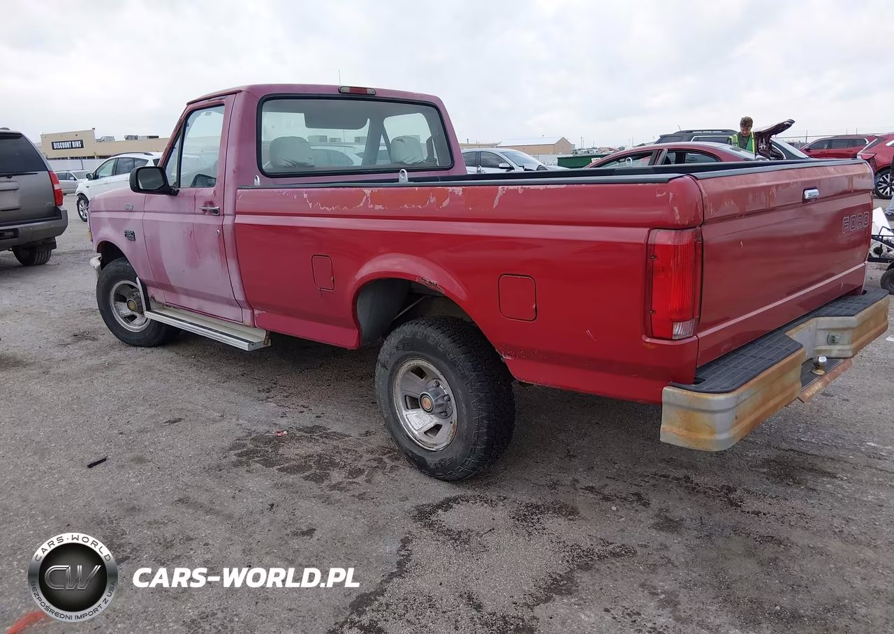 1994 Ford F150 VIN:1FTEF15Y5RNA06689 - 3