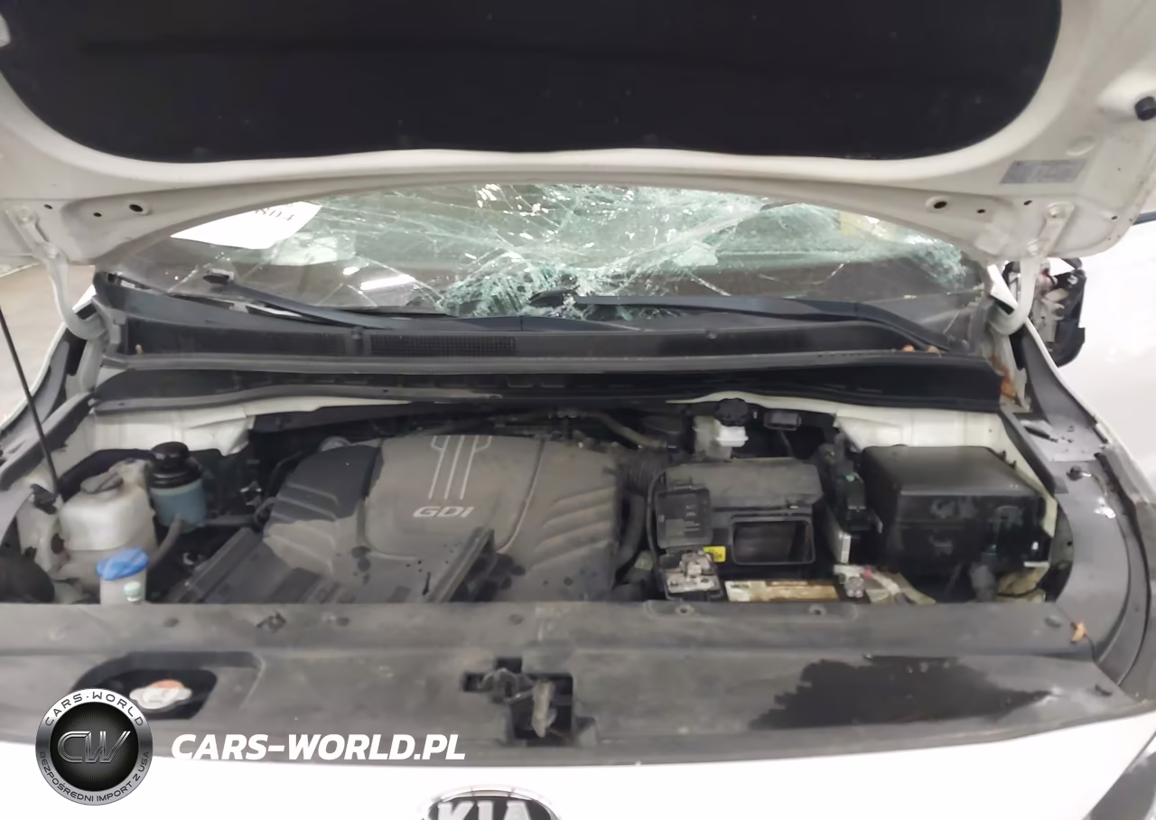 2016 Kia Sedona Lx VIN:KNDMB5C11G6145522 - 10