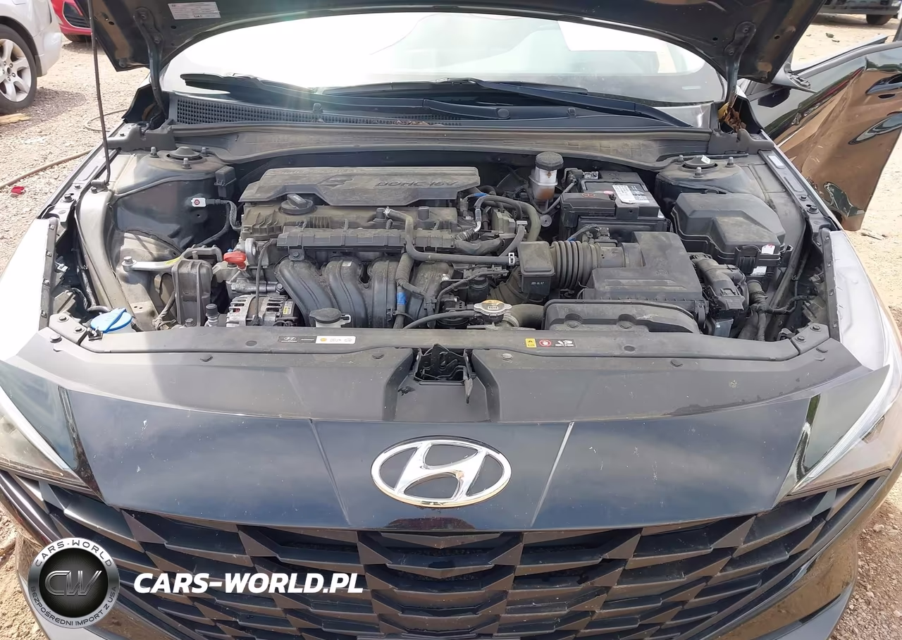 2021 Hyundai Elantra Sel VIN:KMHLS4AG1MU134987 - 10
