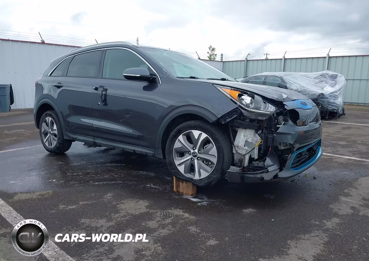 2019 Kia Niro Ev Ex Premium