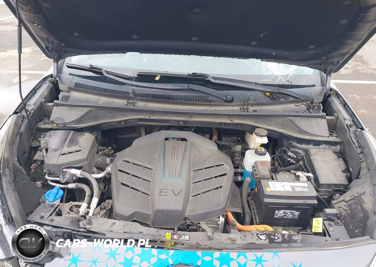 2019 Kia Niro Ev Ex Premium VIN:KNDCE3LG1K5021857 - 10