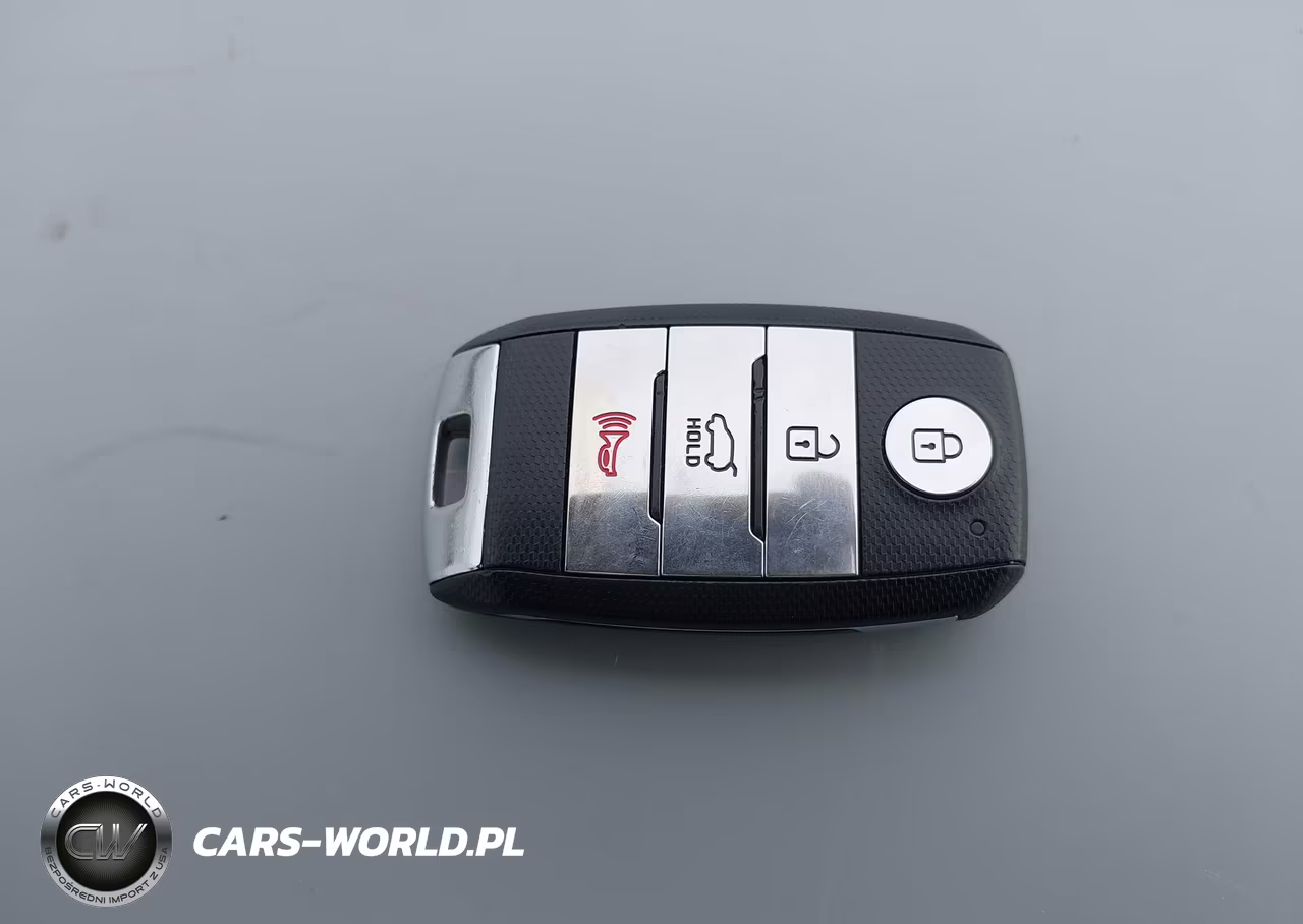 2019 Kia Niro Ev Ex Premium VIN:KNDCE3LG1K5021857 - 11