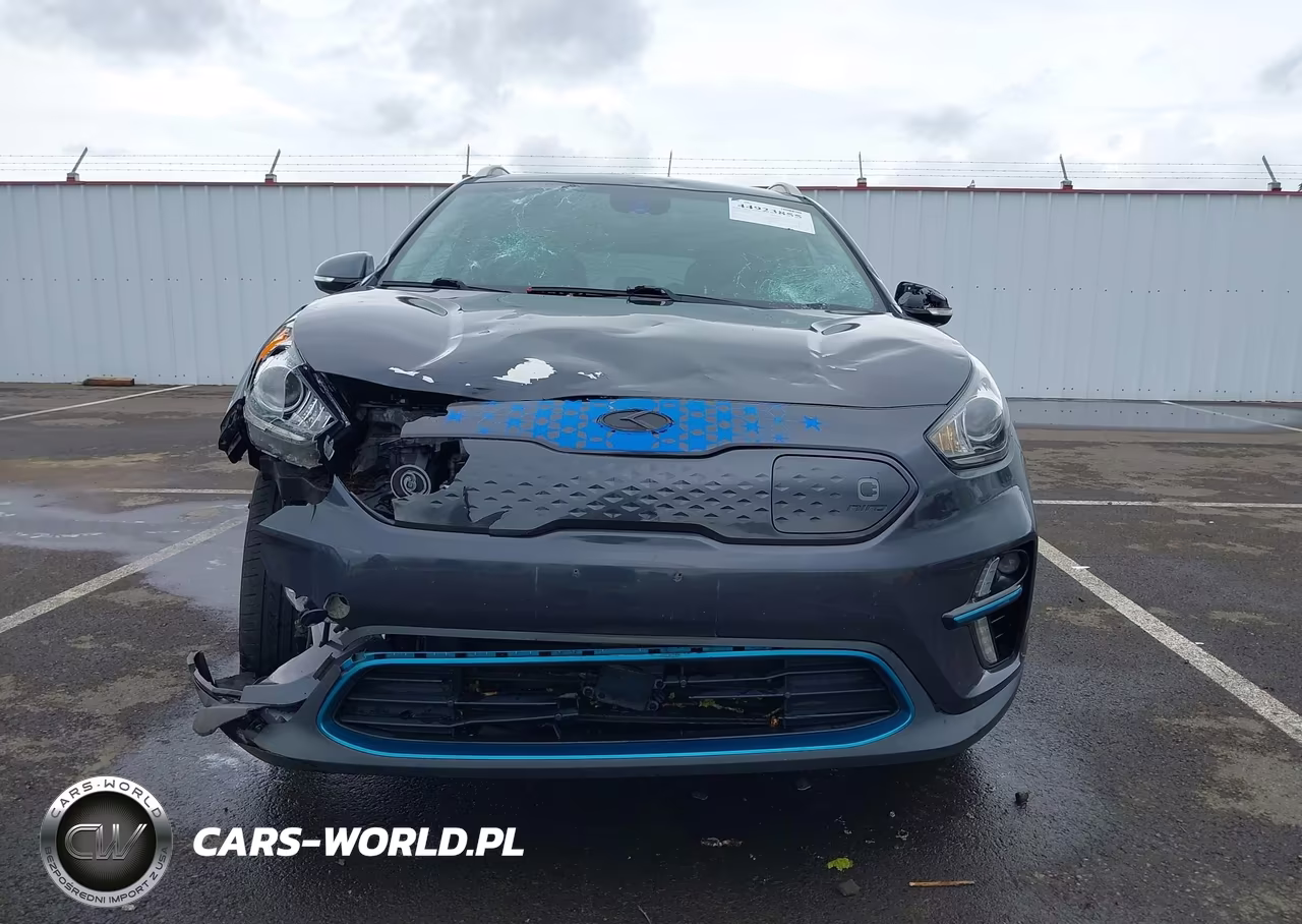 2019 Kia Niro Ev Ex Premium VIN:KNDCE3LG1K5021857 - 12