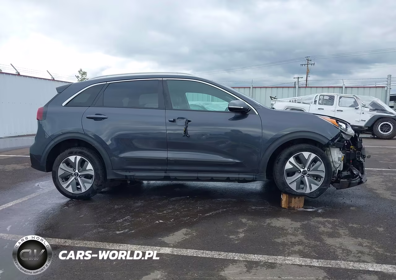 2019 Kia Niro Ev Ex Premium VIN:KNDCE3LG1K5021857 - 13