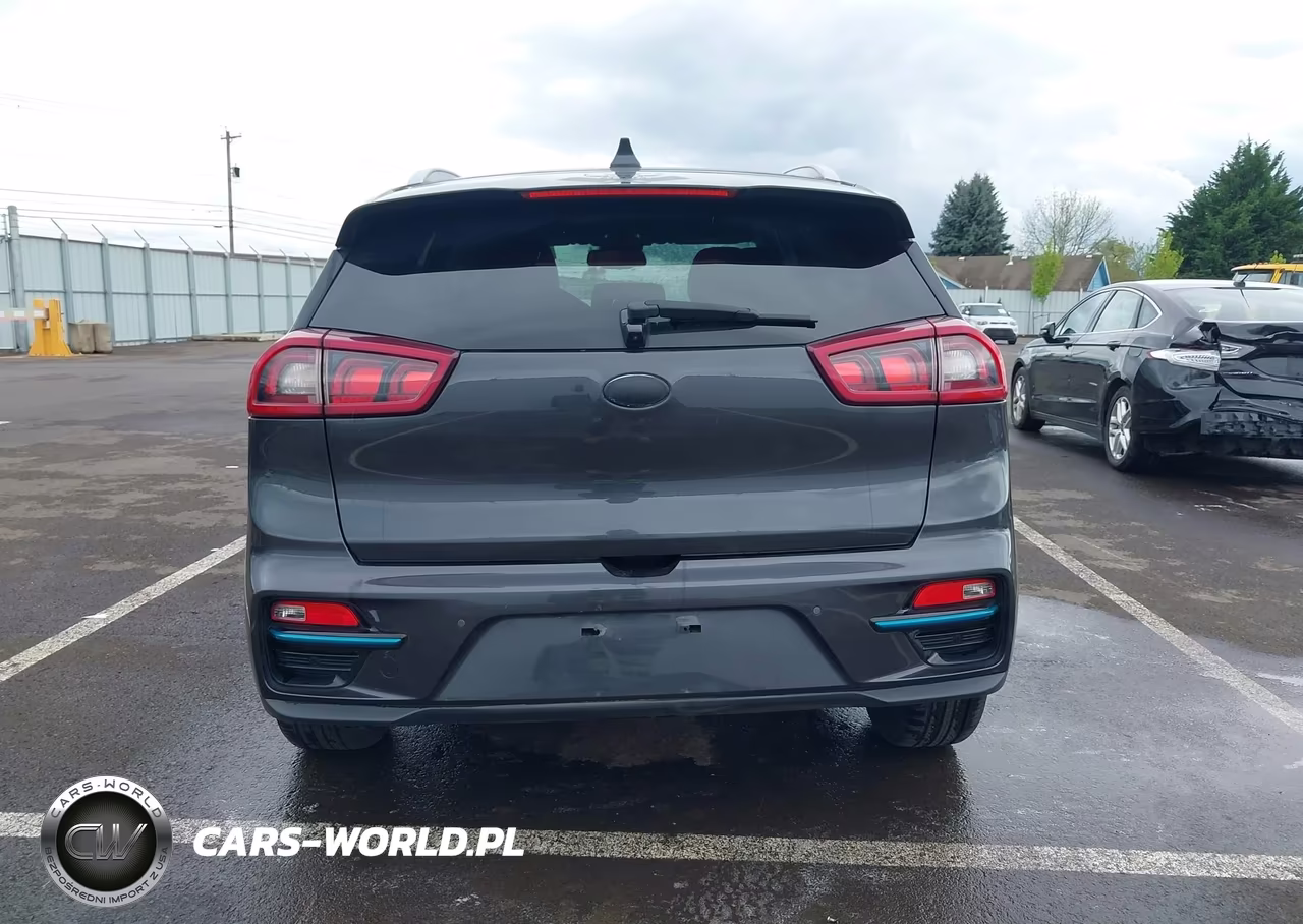 2019 Kia Niro Ev Ex Premium VIN:KNDCE3LG1K5021857 - 16