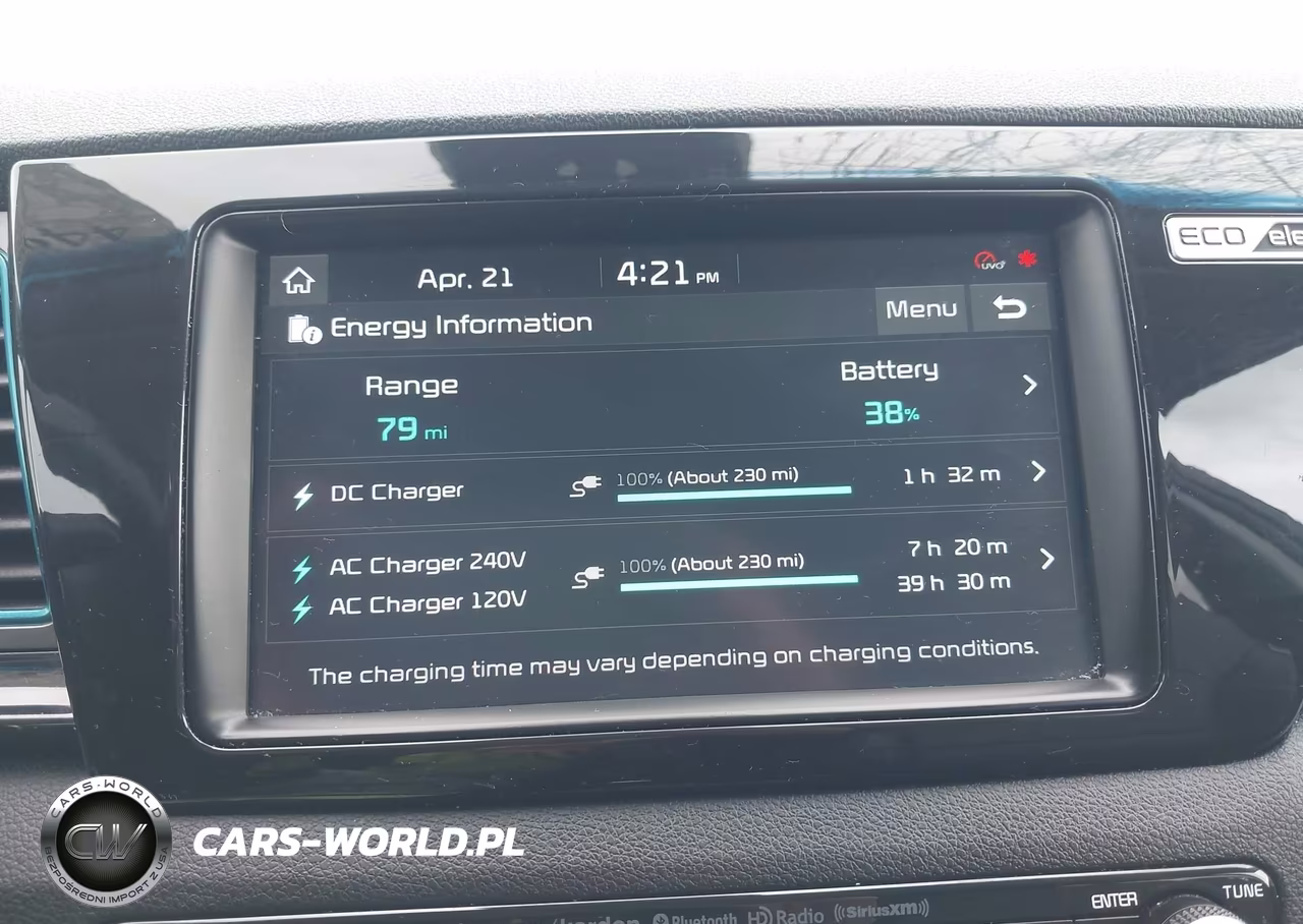 2019 Kia Niro Ev Ex Premium VIN:KNDCE3LG1K5021857 - 18