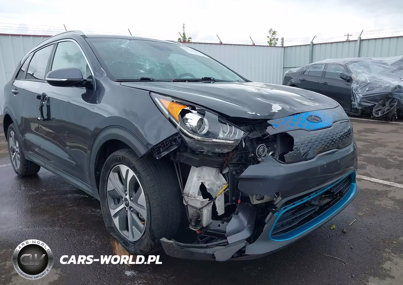 2019 Kia Niro Ev Ex Premium VIN:KNDCE3LG1K5021857 - 19