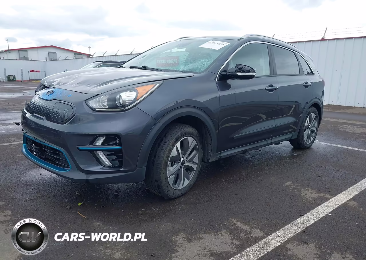 2019 Kia Niro Ev Ex Premium VIN:KNDCE3LG1K5021857 - 2