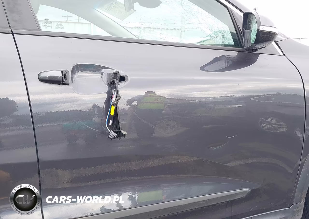 2019 Kia Niro Ev Ex Premium VIN:KNDCE3LG1K5021857 - 20