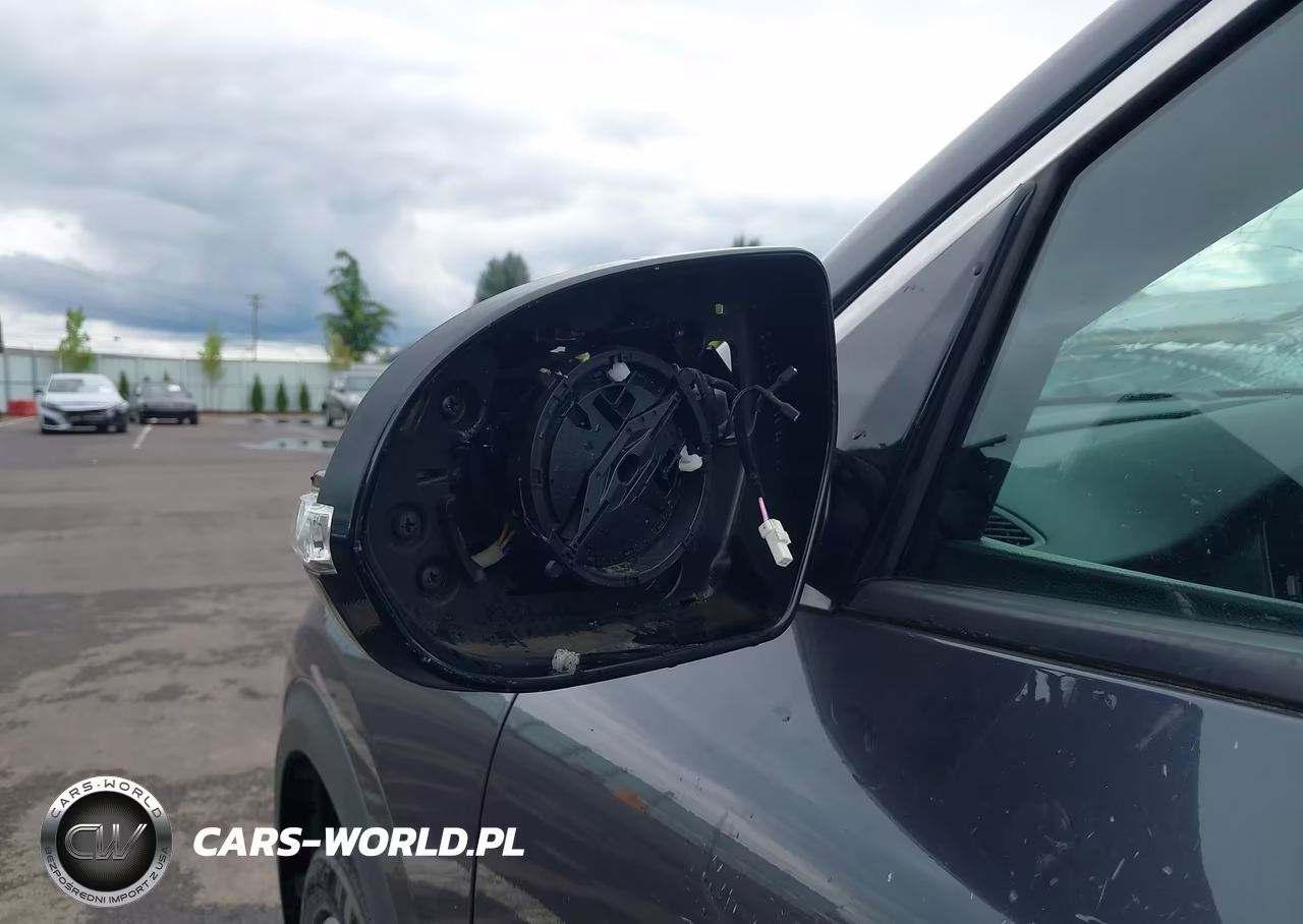 2019 Kia Niro Ev Ex Premium VIN:KNDCE3LG1K5021857 - 22