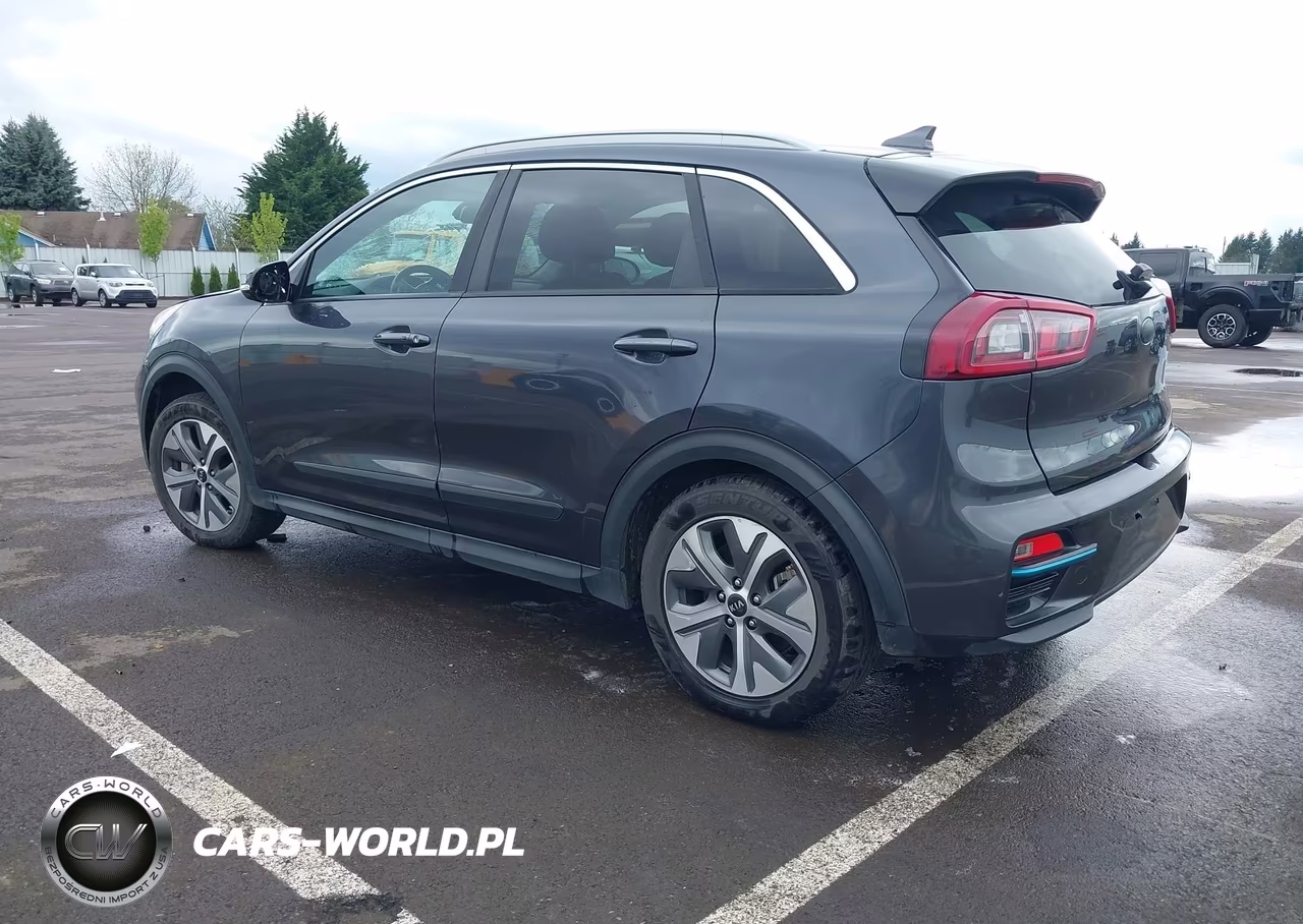 2019 Kia Niro Ev Ex Premium VIN:KNDCE3LG1K5021857 - 3